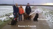 Rooness Hundefreunde