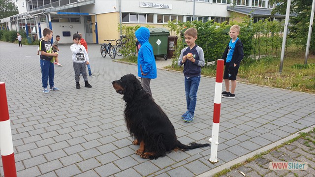 20190606_130039