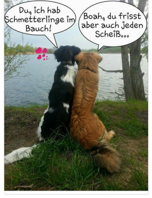 Schmetterlinge im Bauch