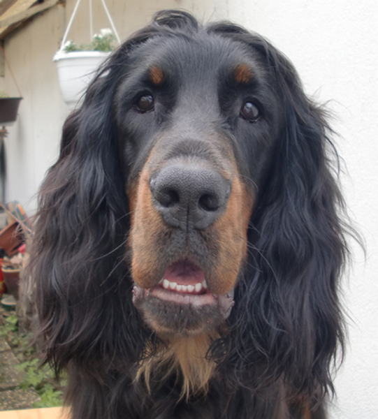Binka aus Berlin, meine Schwester