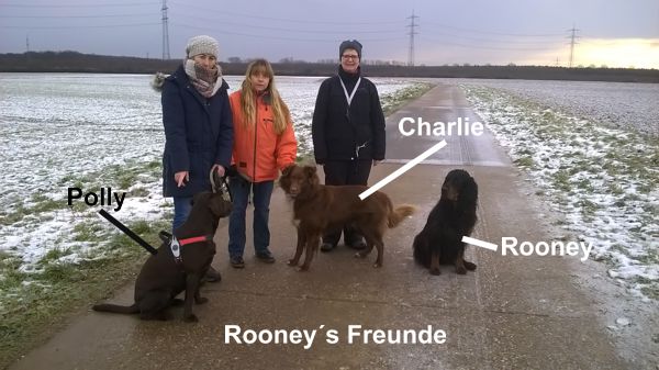 'Rooney´s Freunde Polly und Charlie