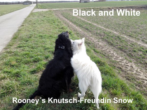 Rooneys-Knutschreundin