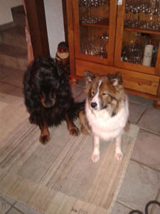 Ebby und ICH