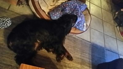 Rooney zu Sylvester mit Doris und Thomas